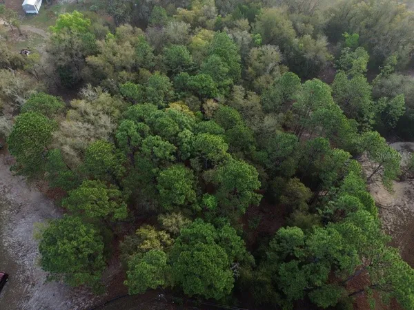 an aerial view of a forest with houses