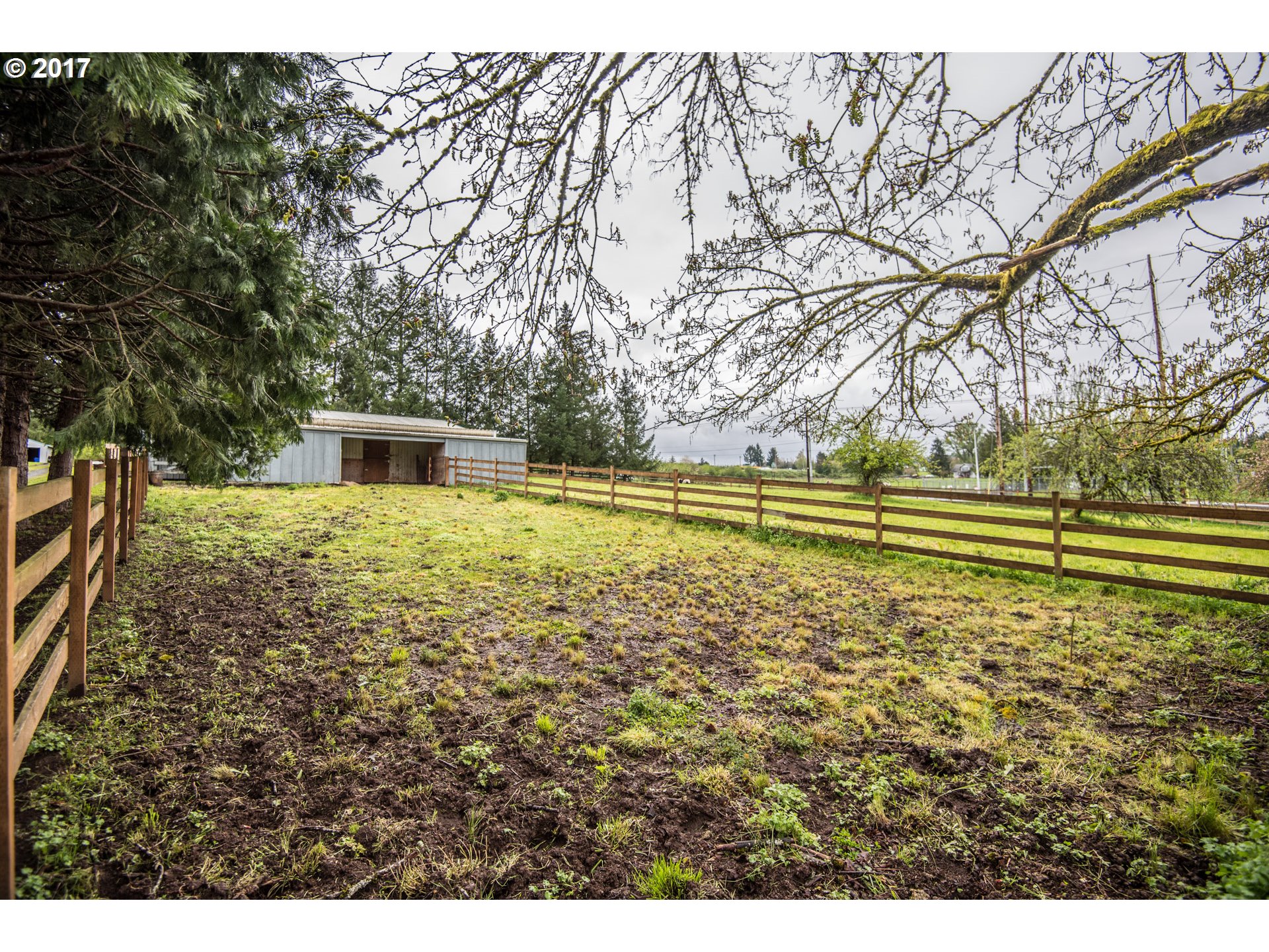 29964 South Hult Road Colton, OR 97017 - Photo 14 of 17 a view of a yard with swimming pool