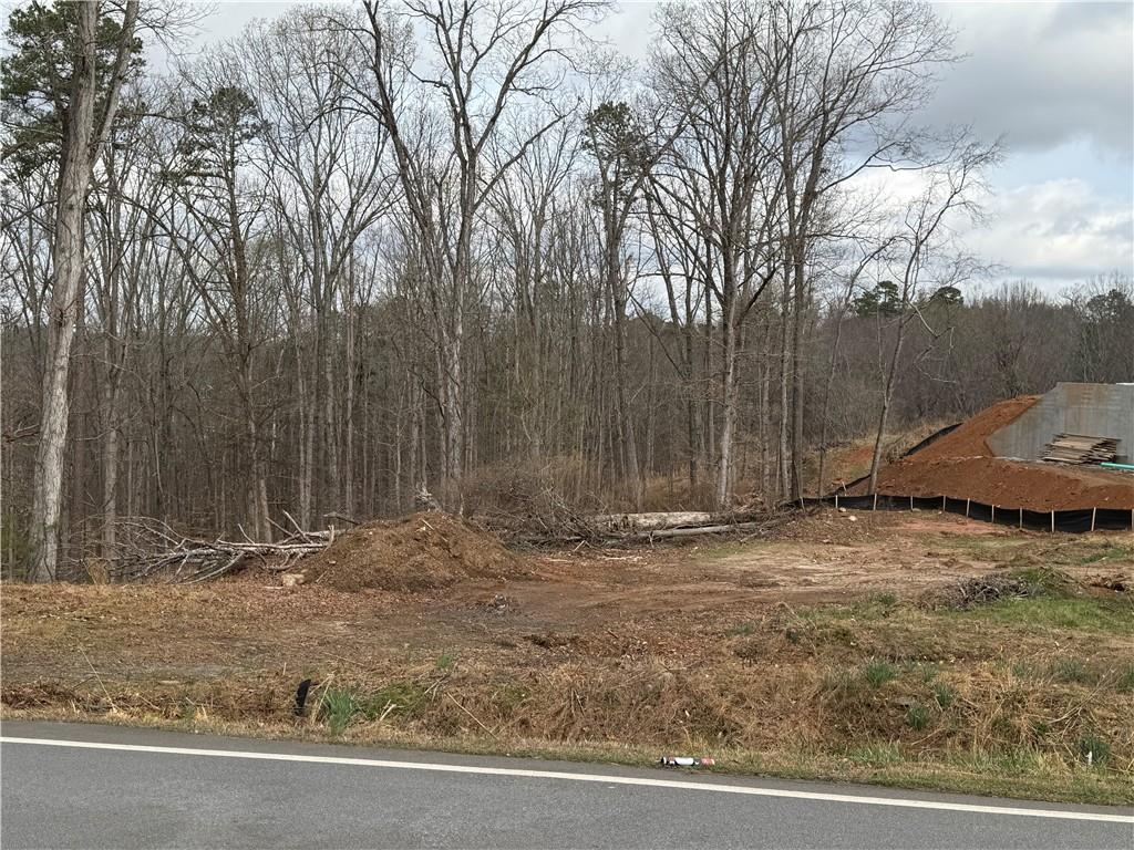 91 Ramey Road Sugar Hill, GA 30518 - Photo 1 of 3