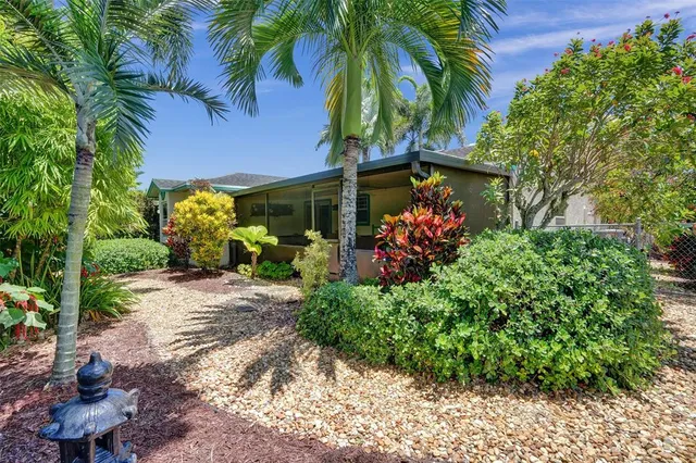 a view of a garden with plants
