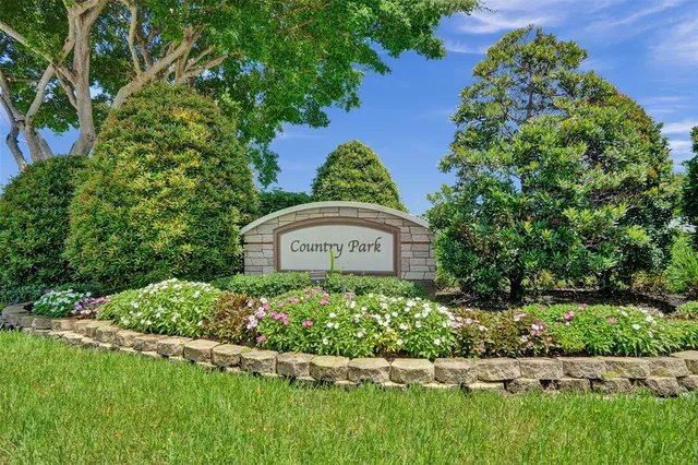 a view of a swimming pool with a garden and plants