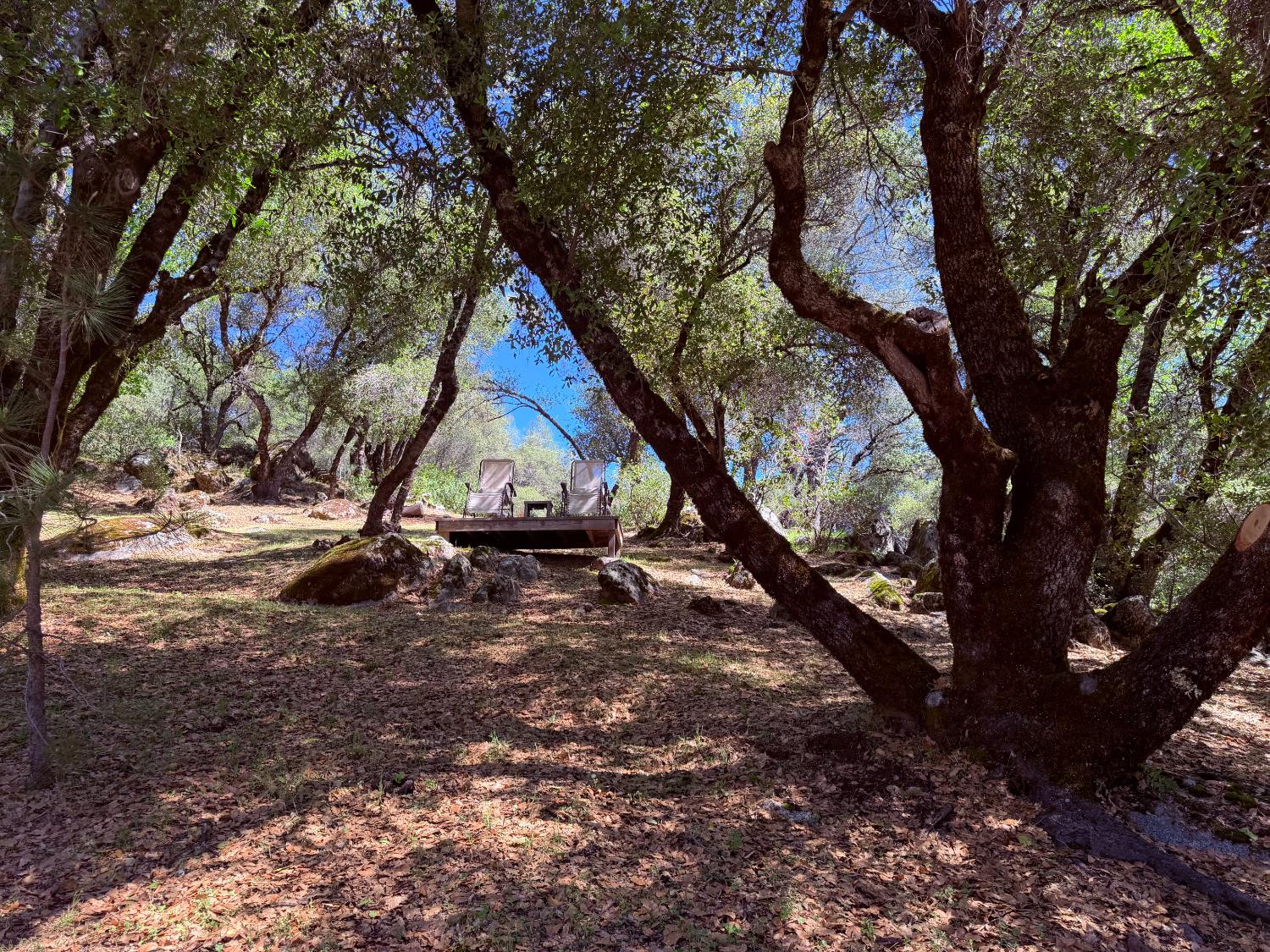 2021 Cedarville Road Somerset, CA 95684 - Photo 32 of 51