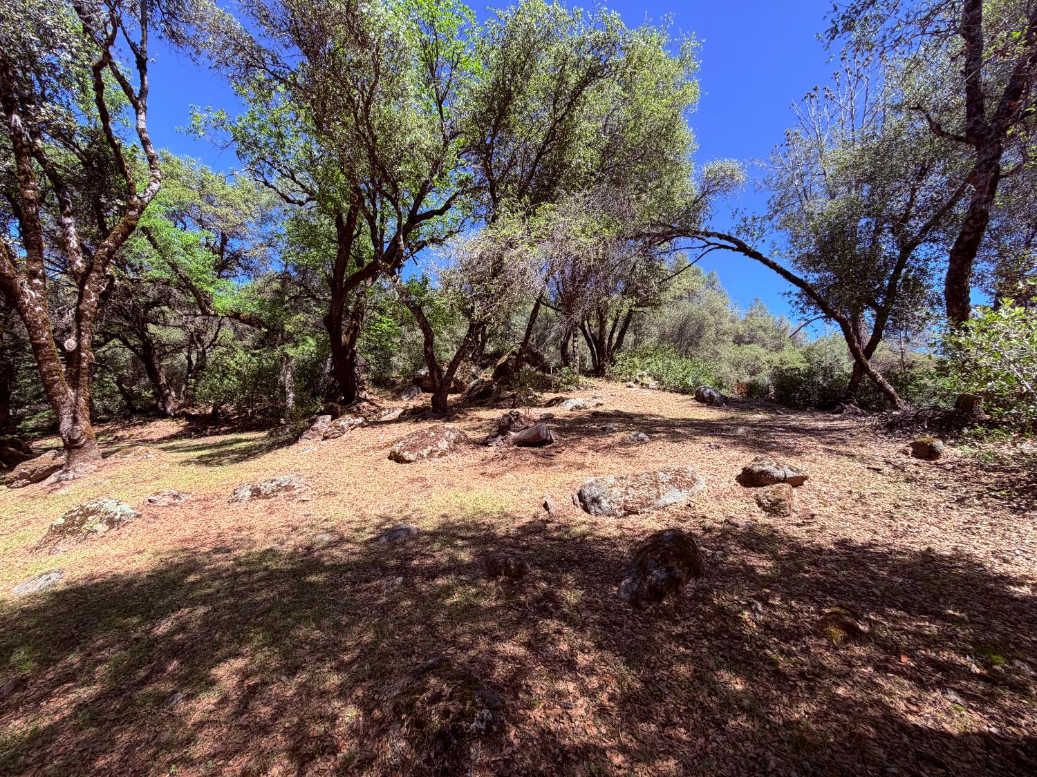 2021 Cedarville Road Somerset, CA 95684 - Photo 34 of 51