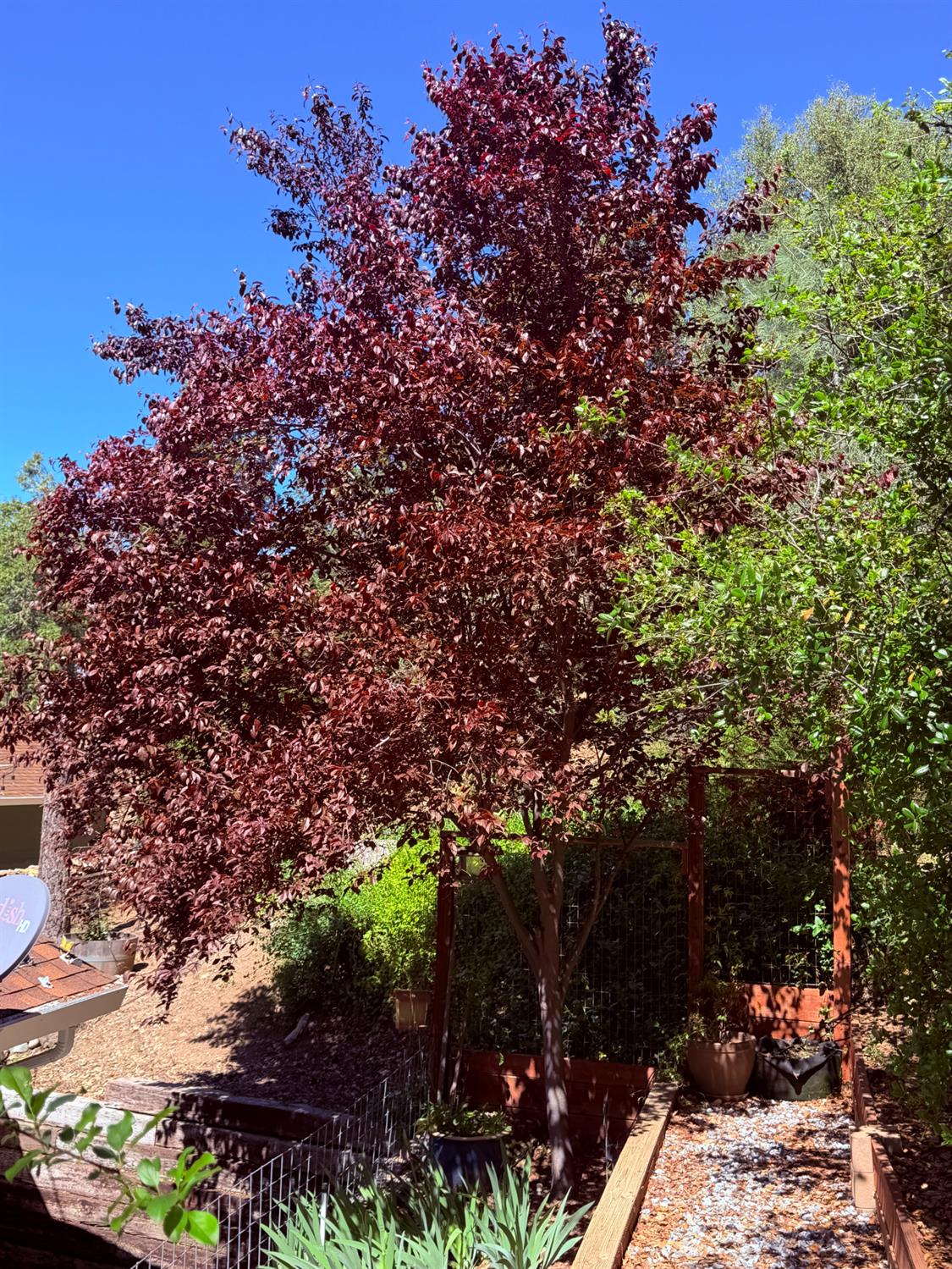 2021 Cedarville Road Somerset, CA 95684 - Photo 40 of 51