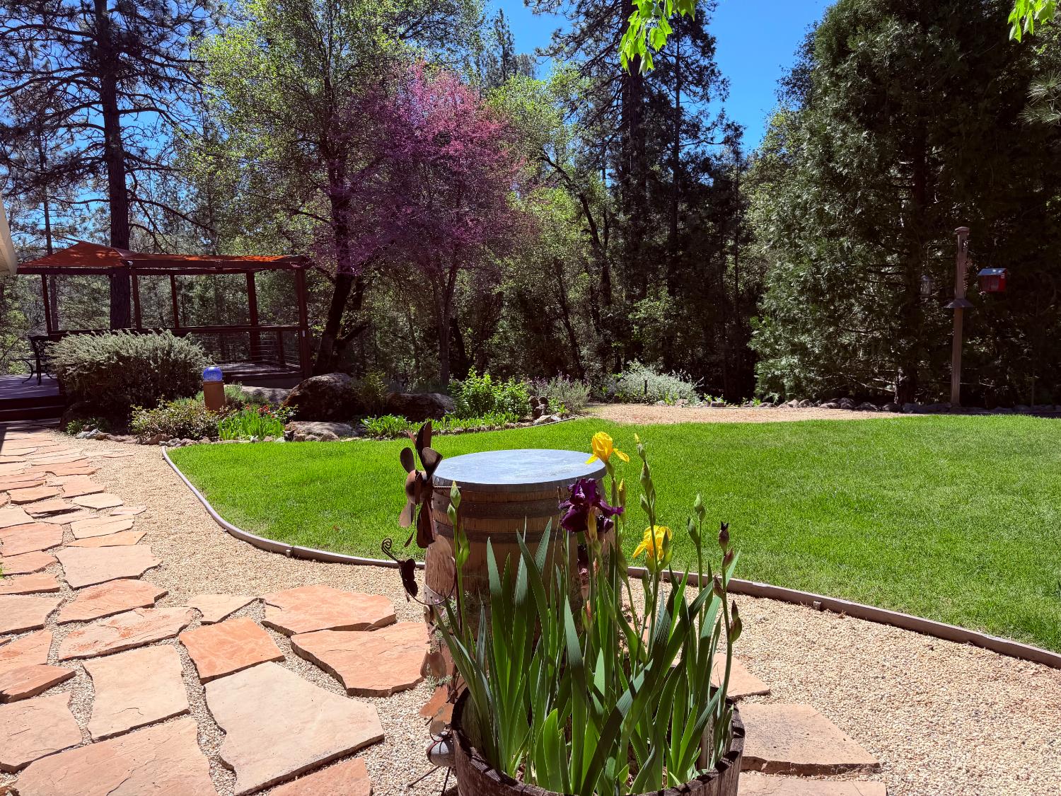 2021 Cedarville Road Somerset, CA 95684 - Photo 44 of 51