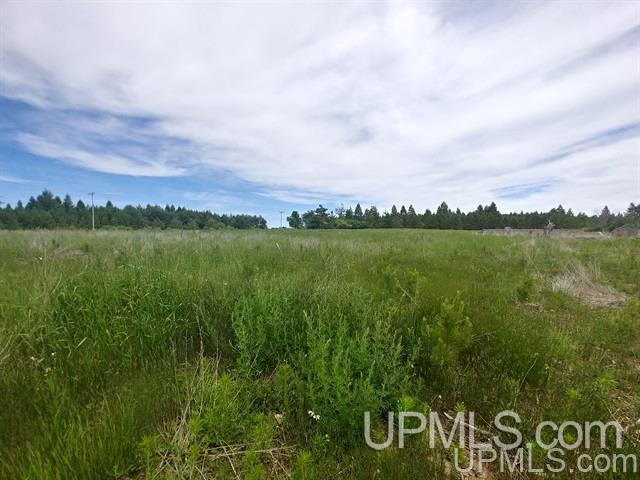 40-acres Davidson Road Manistique, MI 49854 - Photo 1 of 30 Gallery Image 1