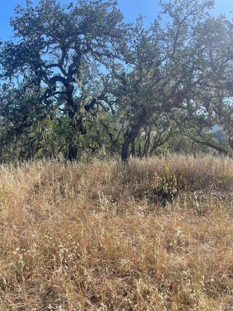 0 Cachagua Road Carmel Valley, CA 93924 - Photo 8 of 10 a view of a dry field
