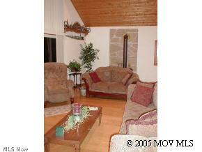 115 A Rush Run Road New Milton, WV 26411 - Photo 5 of 6