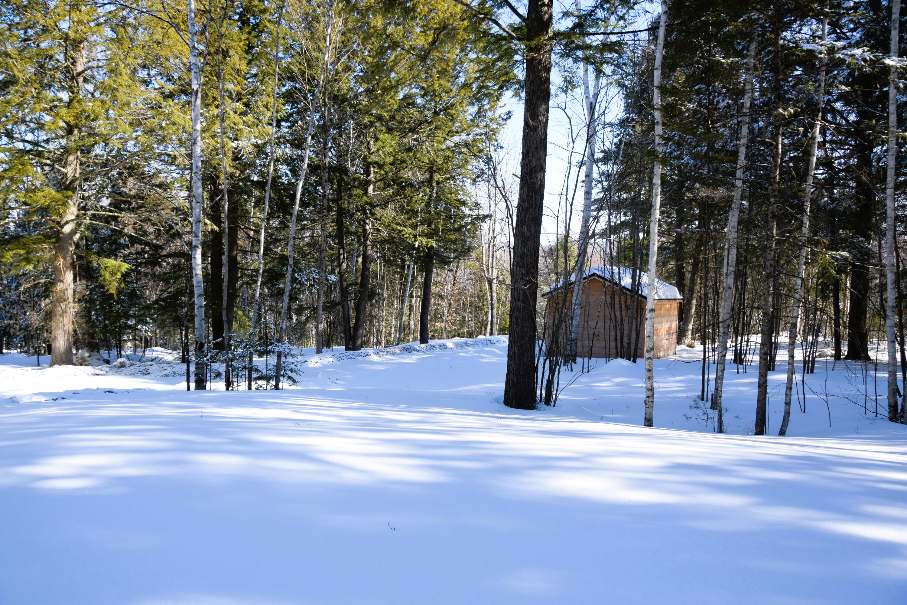 111 Pine Bluff Road Embden, ME 04958 - Photo 34 of 56 DSC_0015