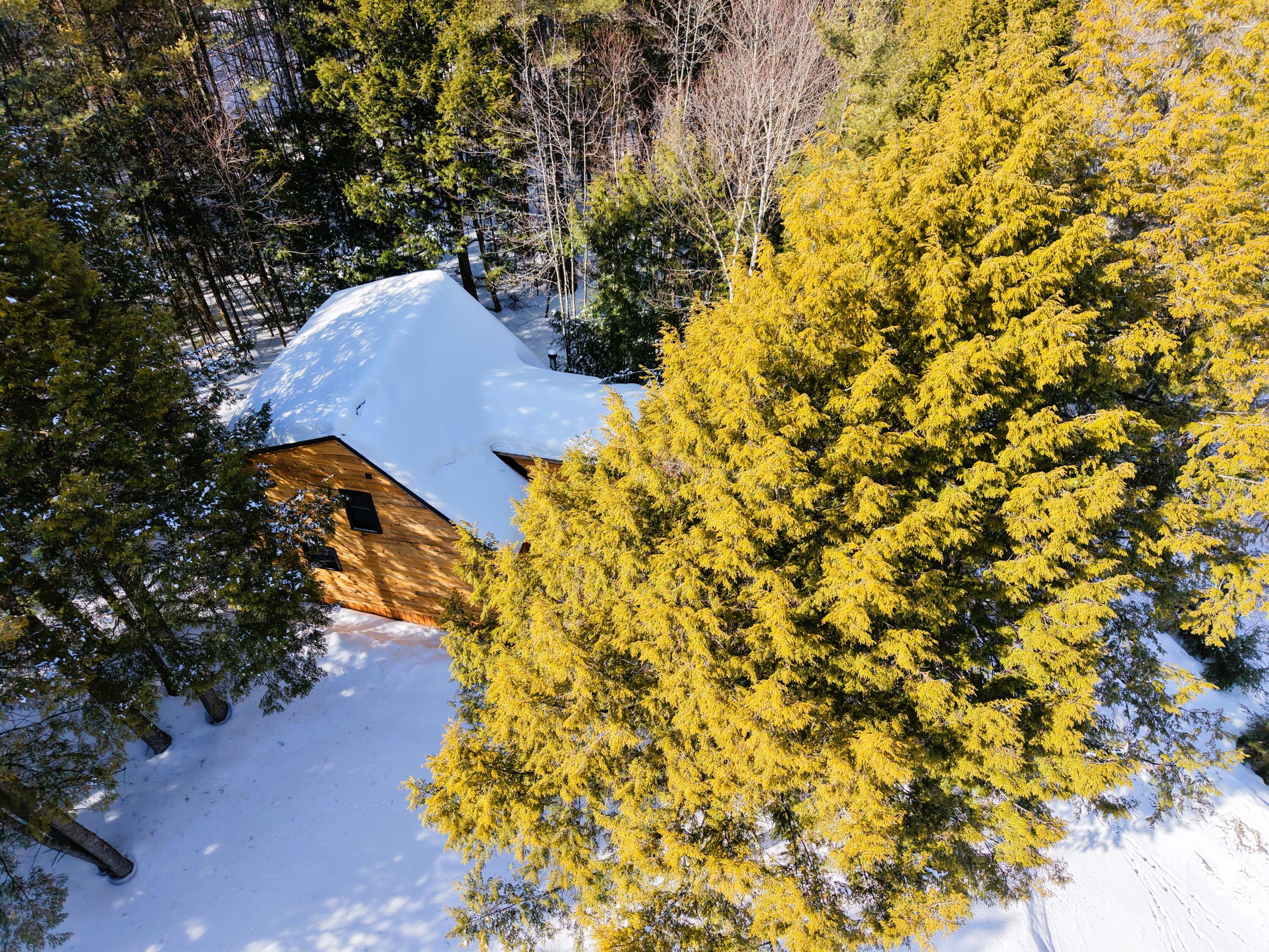 111 Pine Bluff Road Embden, ME 04958 - Photo 41 of 56 DJI_20260304101246_0007_D