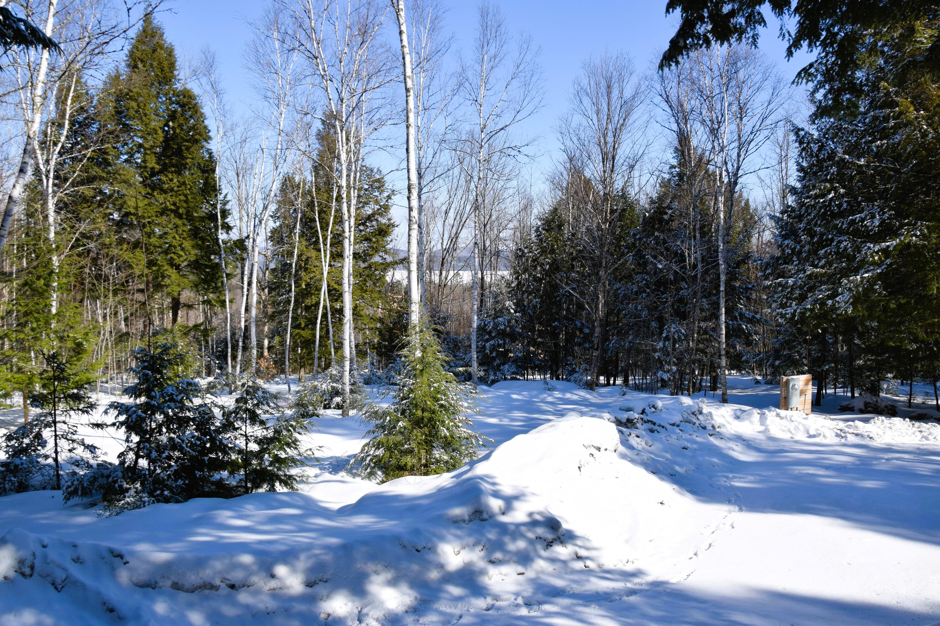 111 Pine Bluff Road Embden, ME 04958 - Photo 47 of 56 DSC_0017