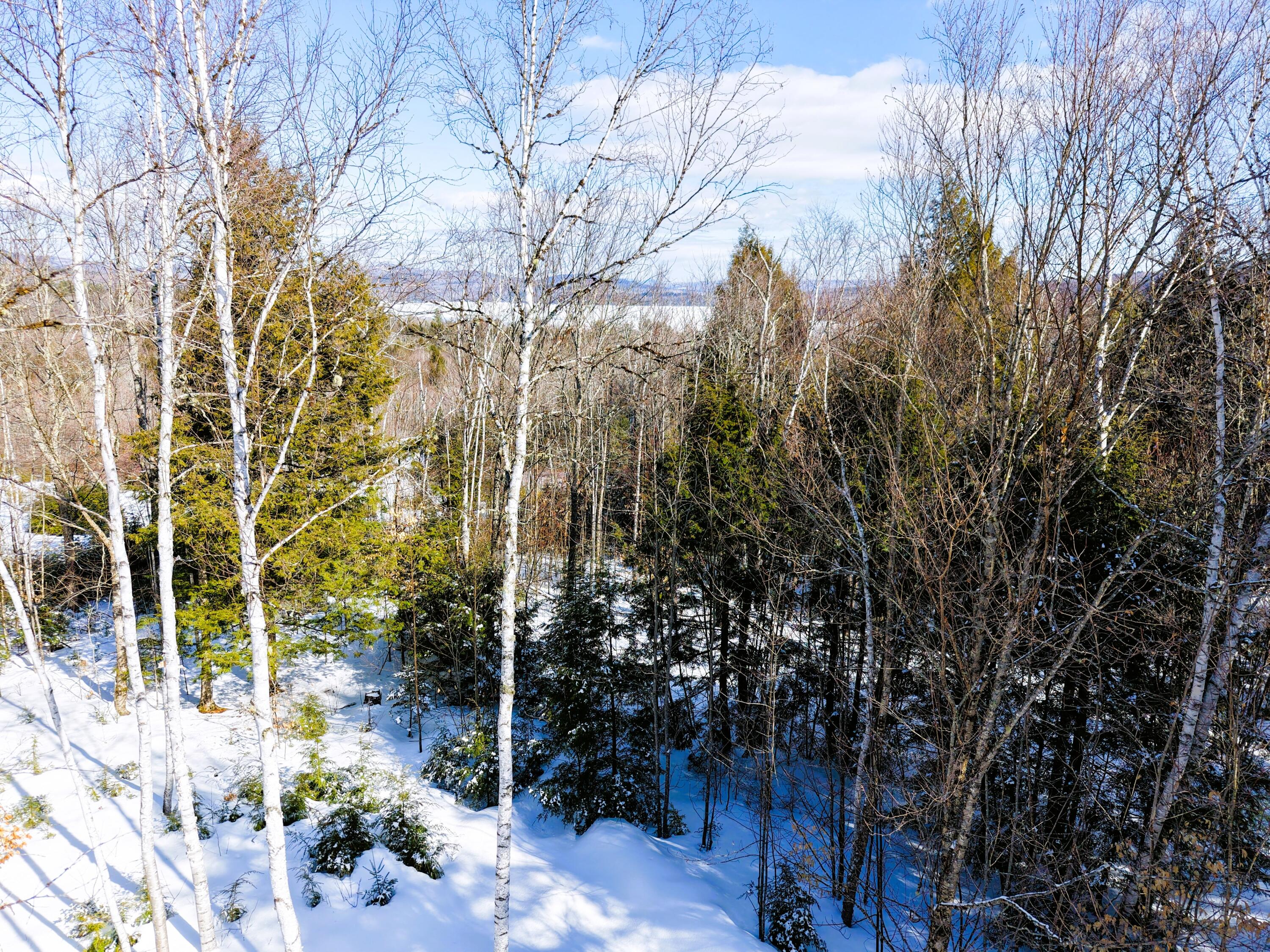 111 Pine Bluff Road Embden, ME 04958 - Photo 48 of 56 DJI_20260304101809_0018_D