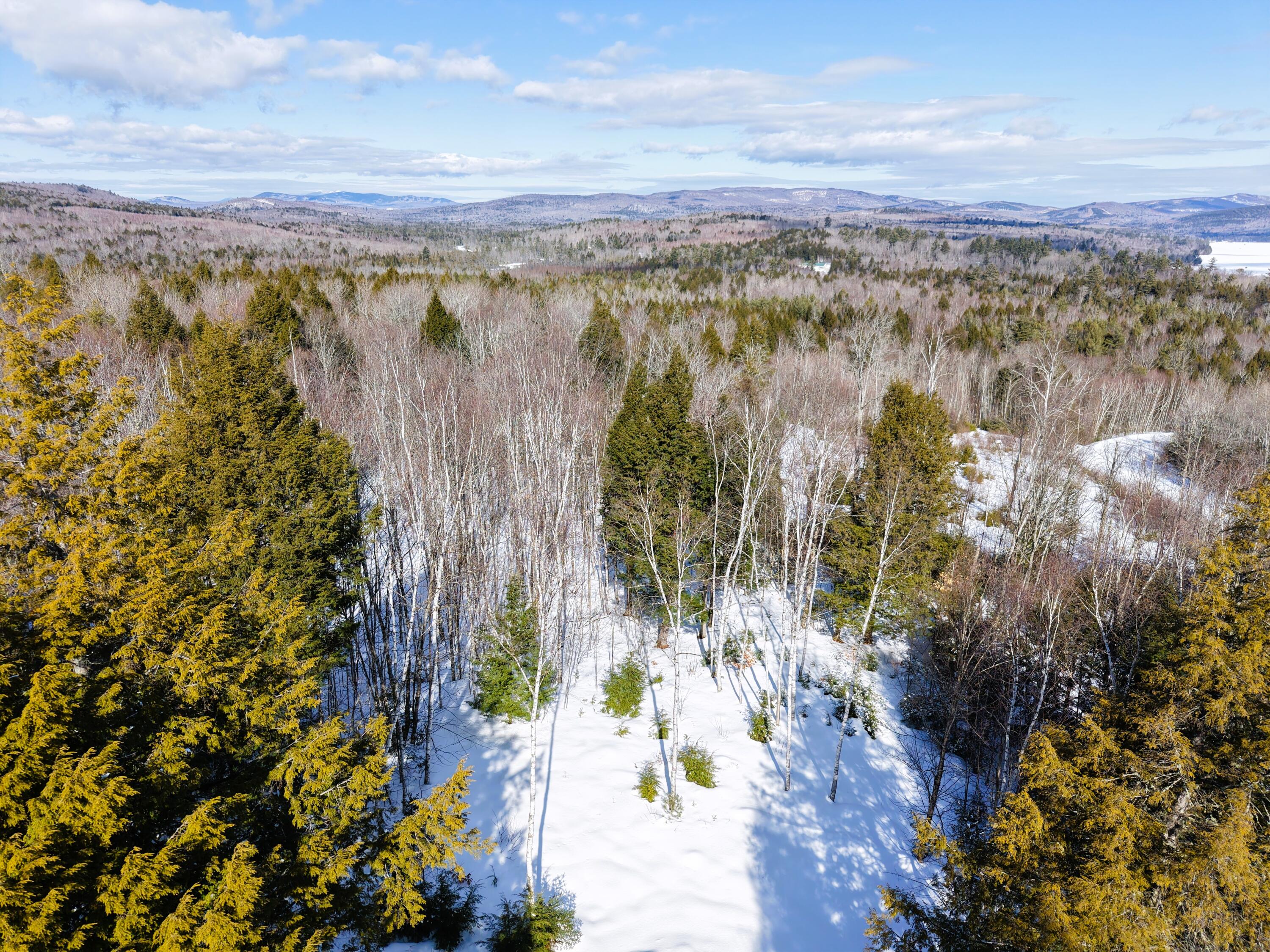 111 Pine Bluff Road Embden, ME 04958 - Photo 49 of 56 DJI_20260304101256_0009_D