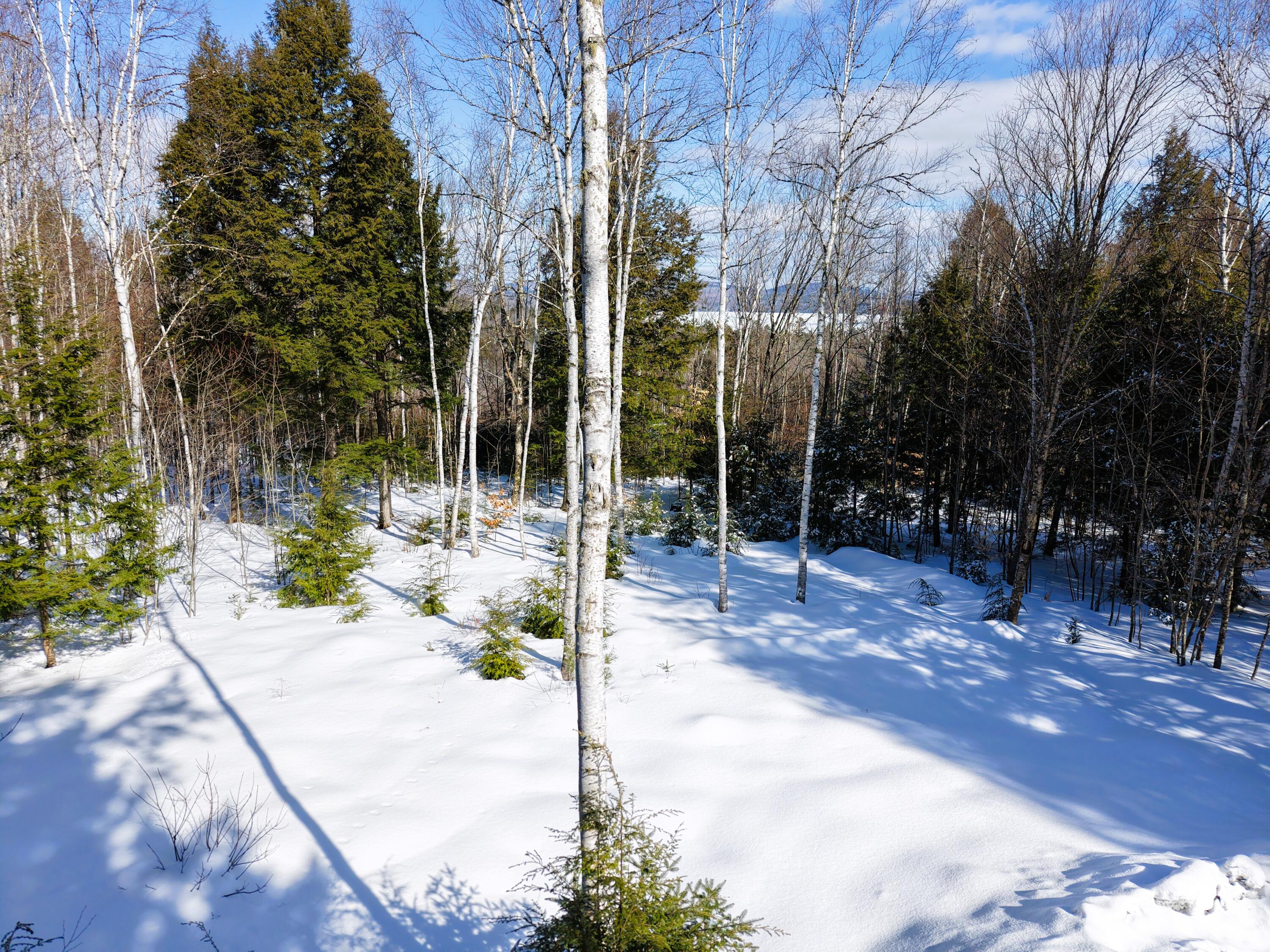 111 Pine Bluff Road Embden, ME 04958 - Photo 50 of 56 DJI_20260304101142_0005_D