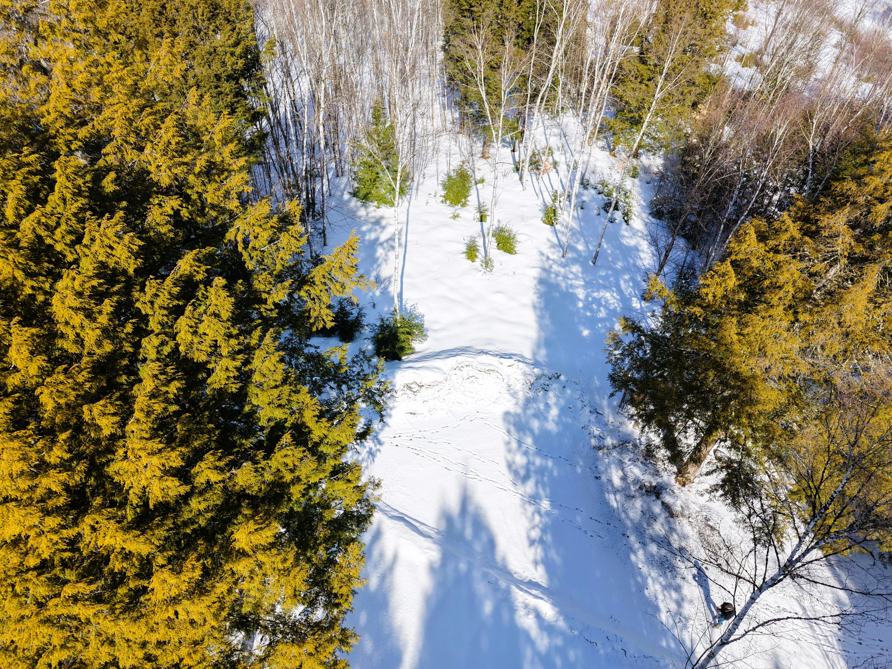 111 Pine Bluff Road Embden, ME 04958 - Photo 53 of 56 DJI_20260304101251_0008_D