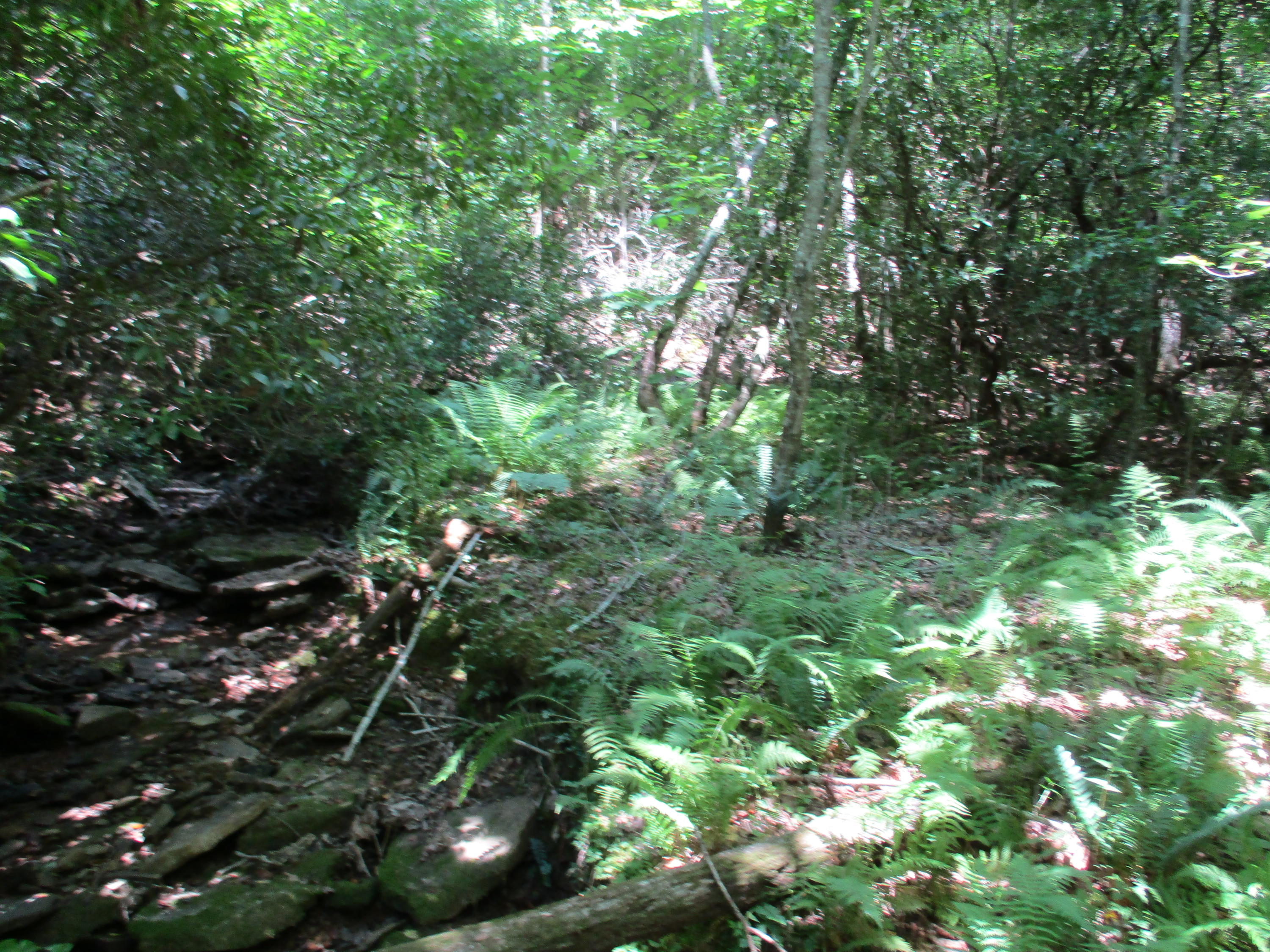 0 Grape Vine Road, Unit 27 Crossville, TN 38572 - Photo 8 of 10 IMG_0862