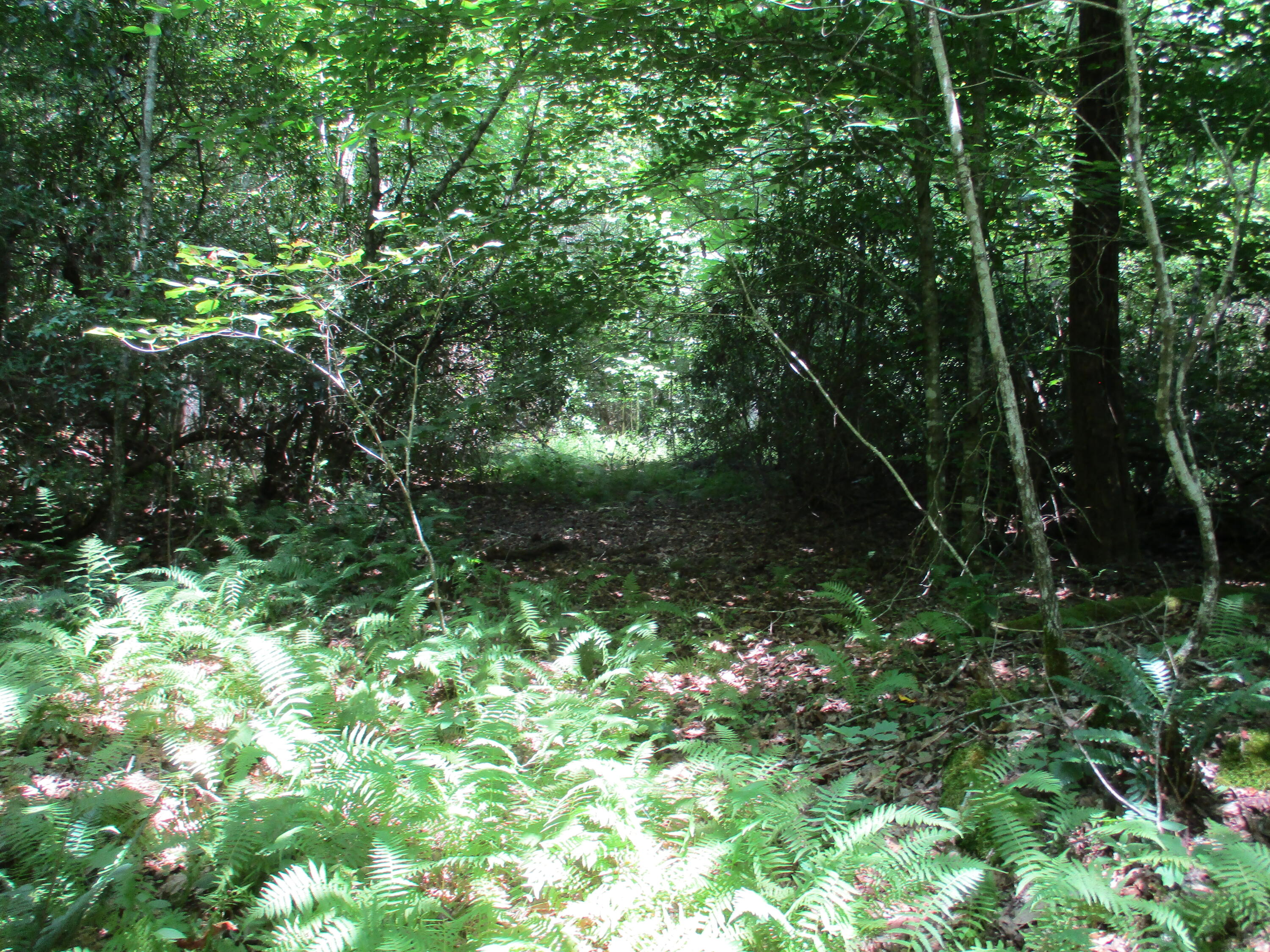 0 Grape Vine Road, Unit 27 Crossville, TN 38572 - Photo 9 of 10 IMG_0863