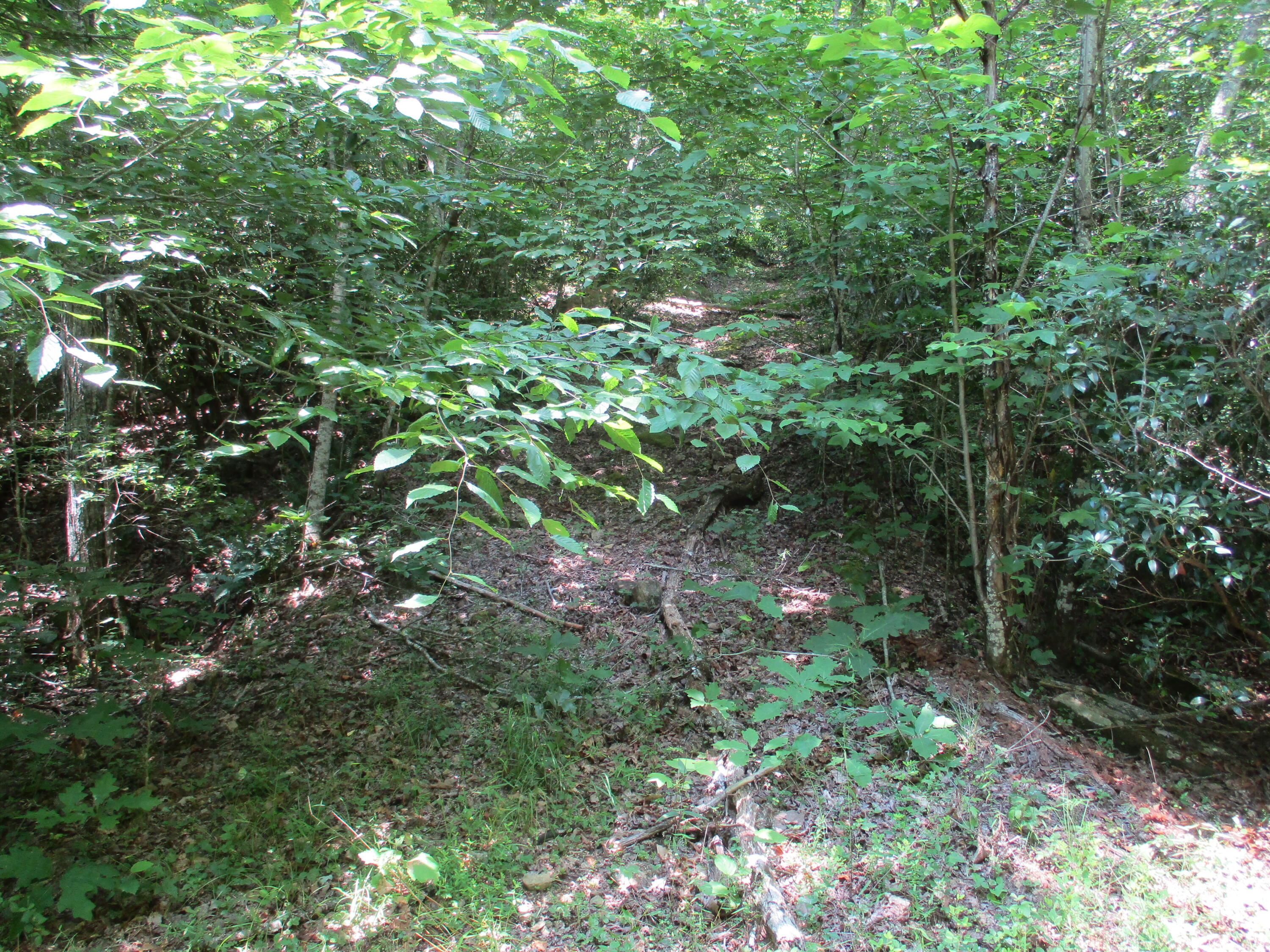 0 Grape Vine Road, Unit 27 Crossville, TN 38572 - Photo 10 of 10 IMG_0864