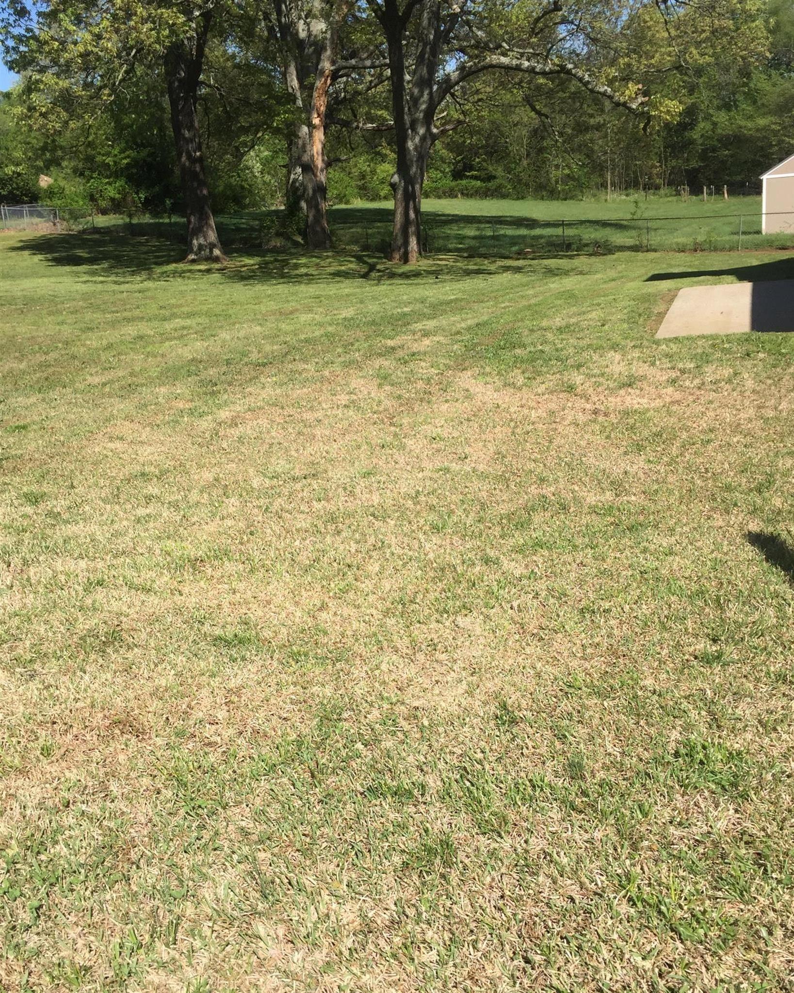 203 Quail Ridge Road Clarksville, TN 37042 - Photo 4 of 30 Huge back yard !!!!