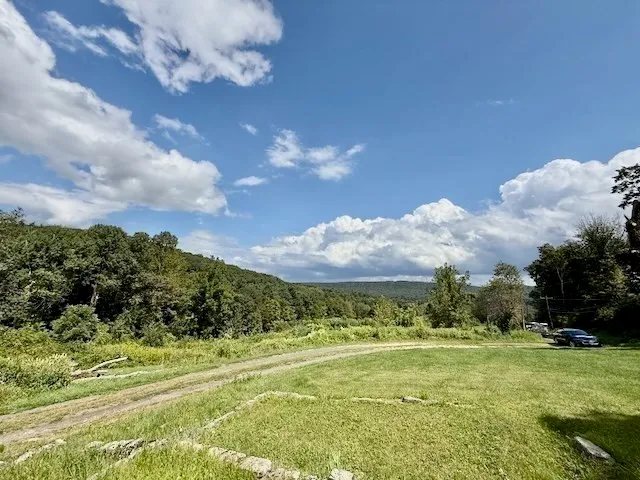 a green field with trees in the background