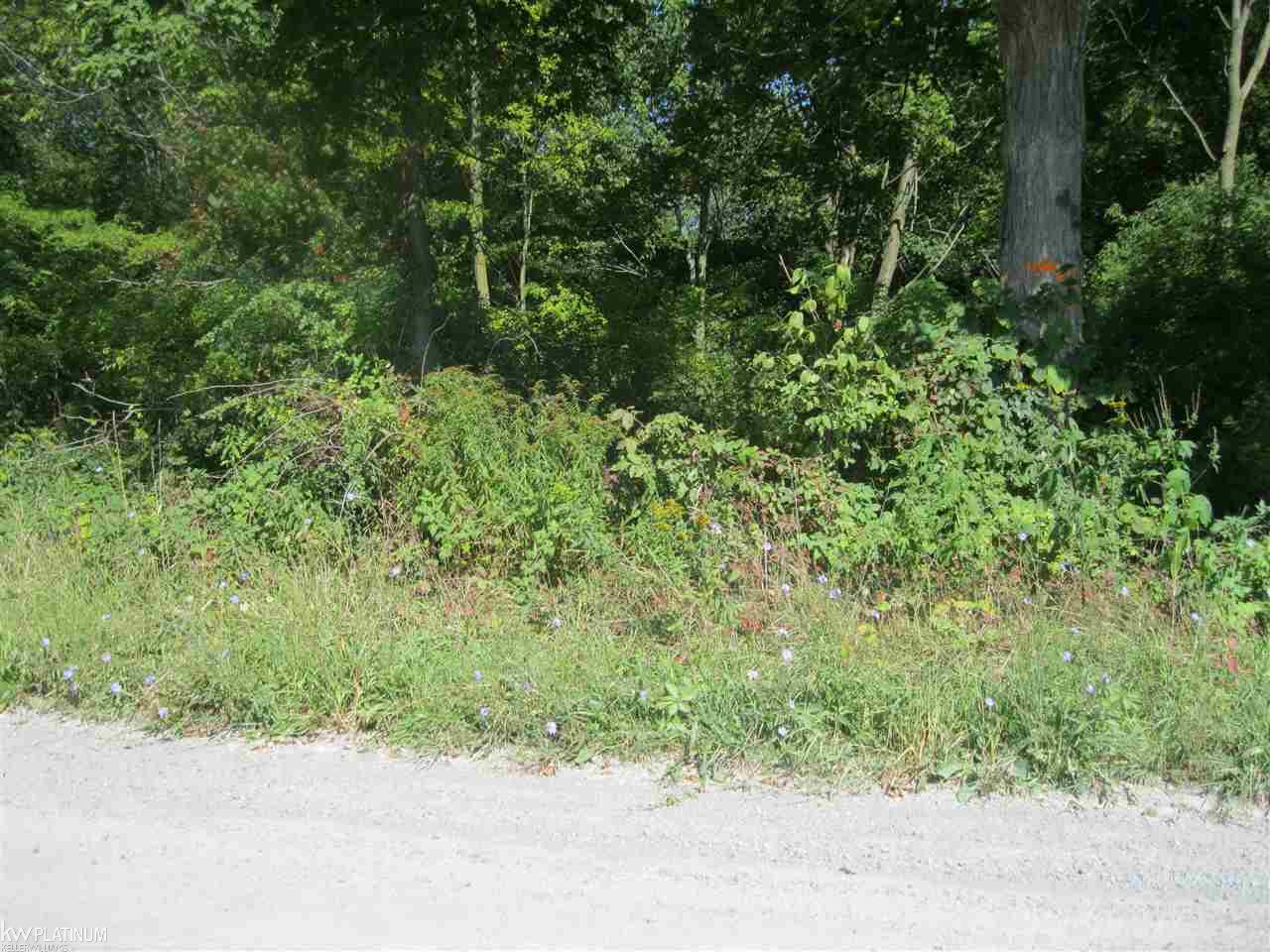 Ob Green Goodells, MI 48027 - Photo 1 of 10