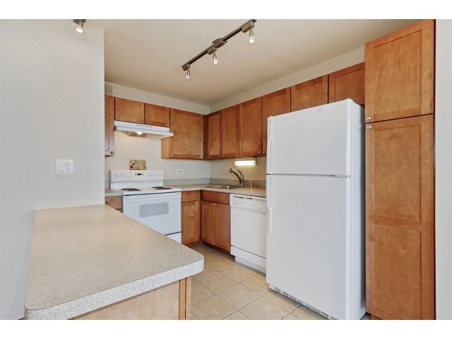655 West Irving Park Road, Unit 3204 Chicago, IL 60613 - Photo 4 of 11