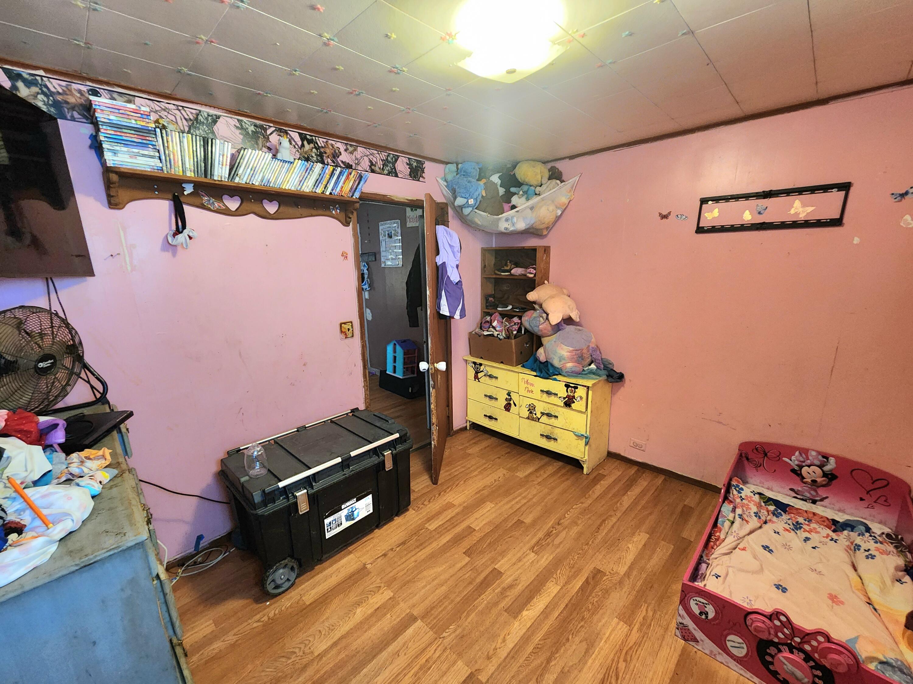 3915 South Ruess Road Owosso, MI 48867 - Photo 20 of 40 20231022_113535