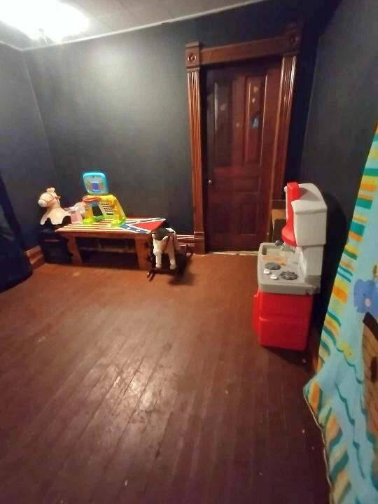 3915 South Ruess Road Owosso, MI 48867 - Photo 25 of 40 27750
