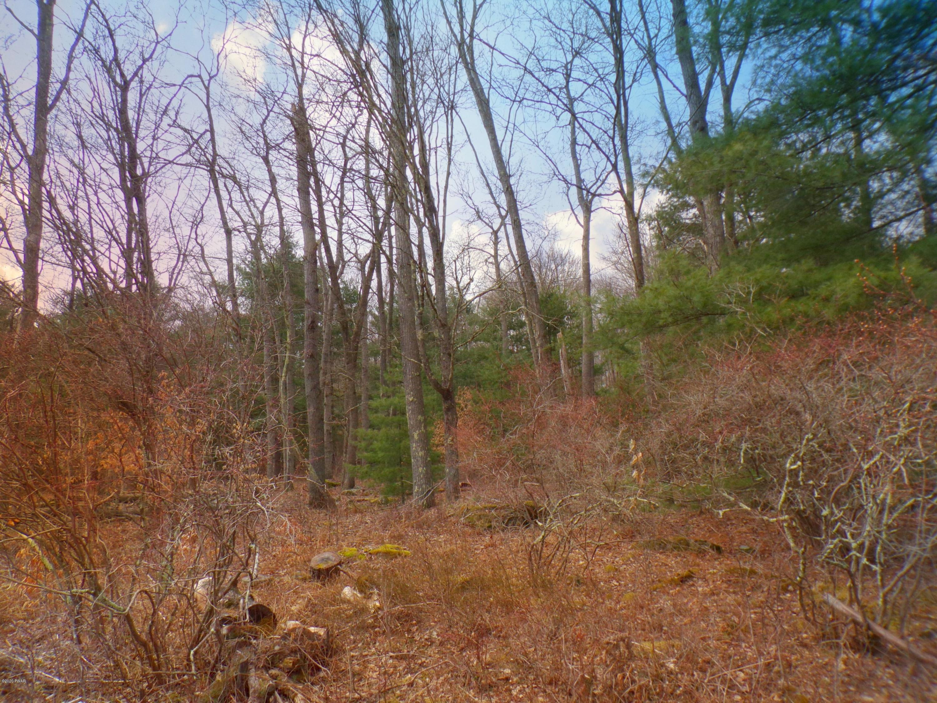 Perkins Pond Rd Beach Lake Beach Lake, PA 18405 - Photo 5 of 7