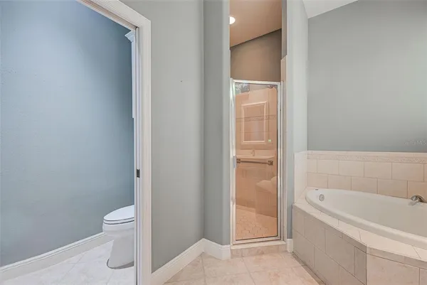 a bathroom with a bathtub and a toilet