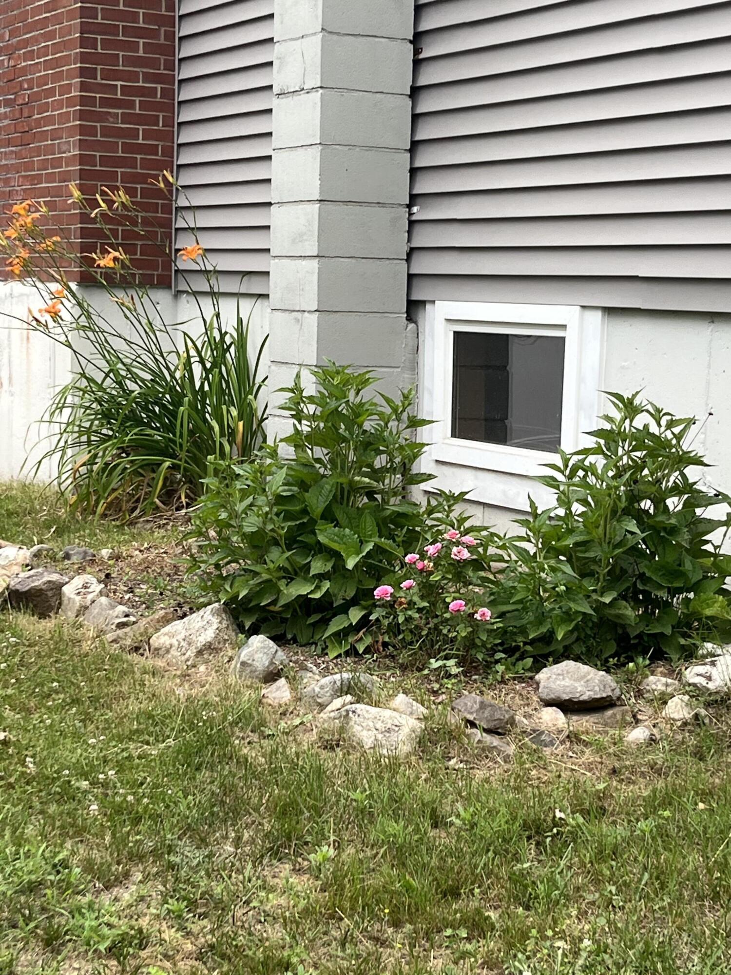 141 Libby Road Casco, ME 04015 - Photo 12 of 50 IMG_8639