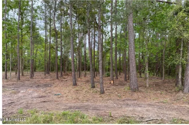 $35,000 | 44 Basswood Drive, Pass Christian, MS 39571
