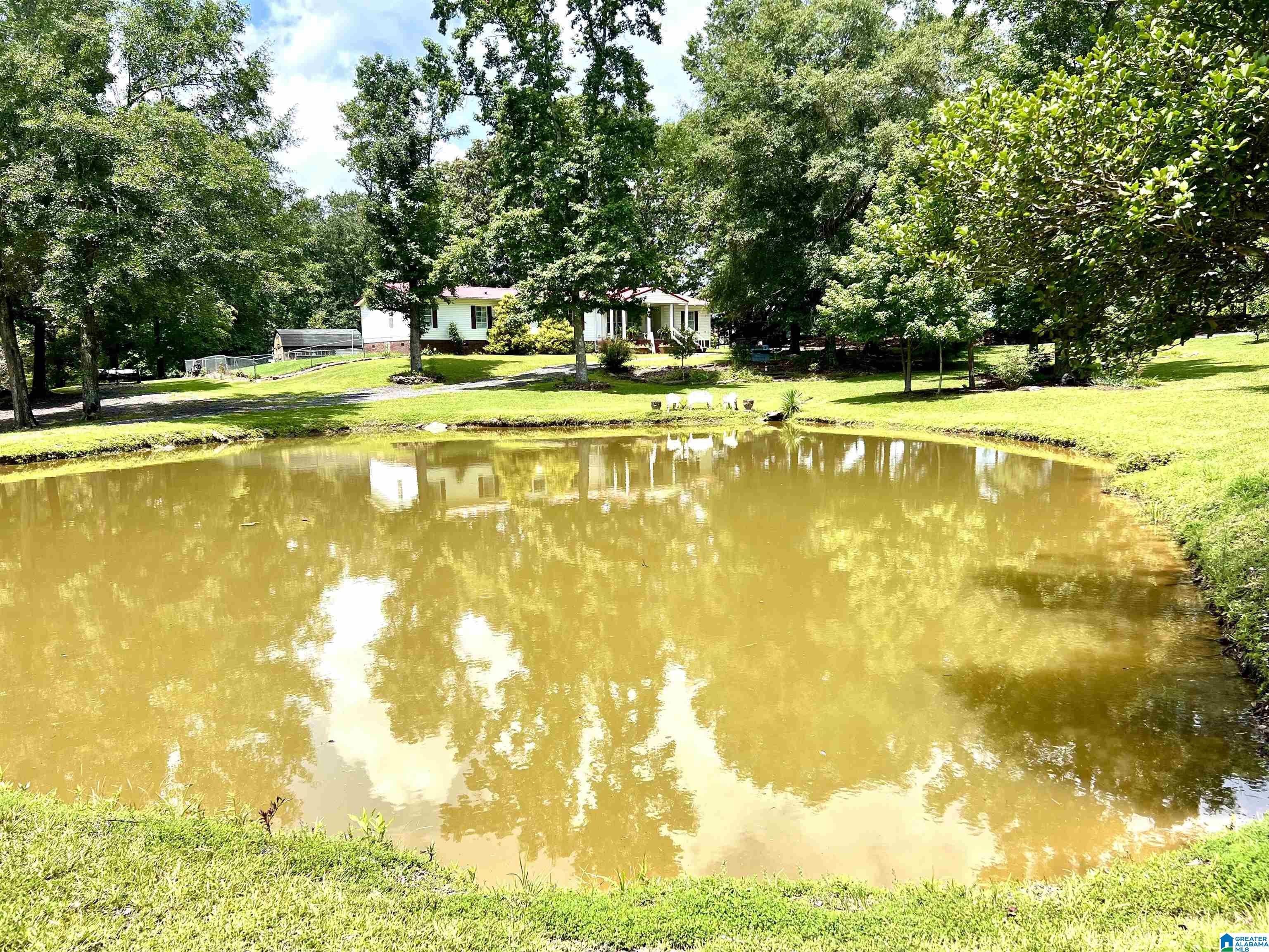 32 McAlpine Road Blountsville, AL 35031 - Photo 28 of 33 Gallery Image 28