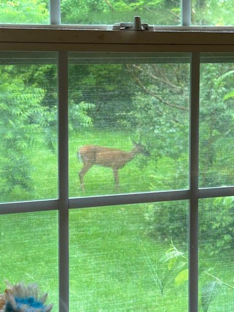 1162 Pond Road Mount Vernon, ME 04352 - Photo 7 of 22 7