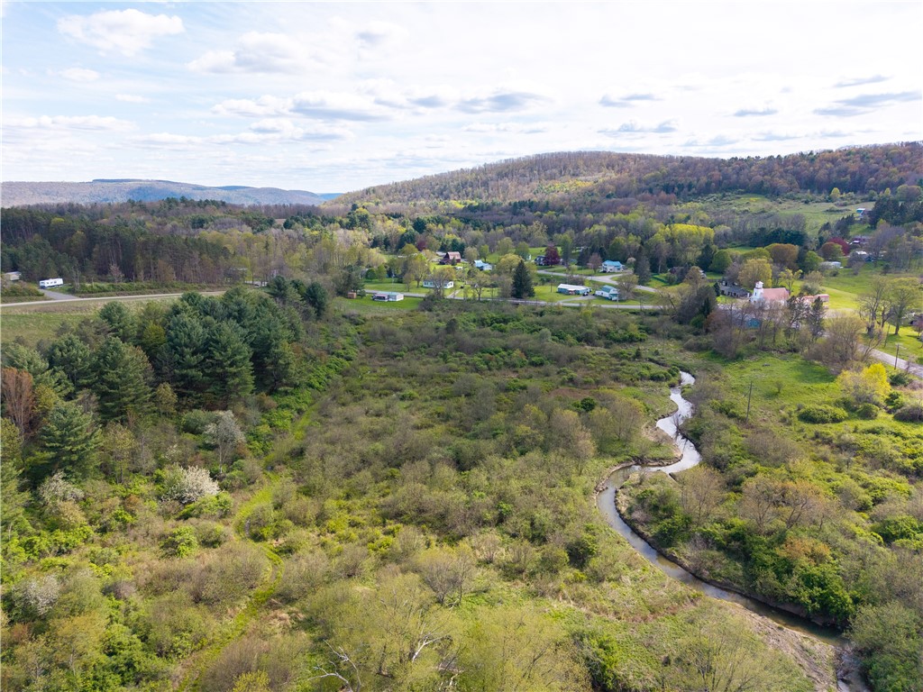 0 County Route 13 Bath, NY 14810 - Photo 15 of 26