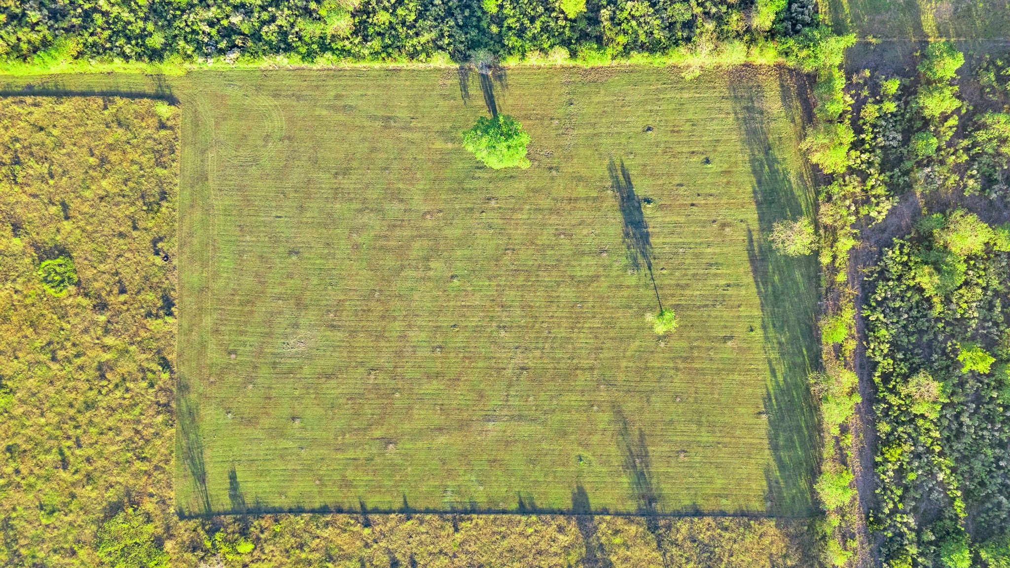 11703 County Road 48 Rosharon, TX 77583 - Photo 11 of 11 a bathroom with a shower