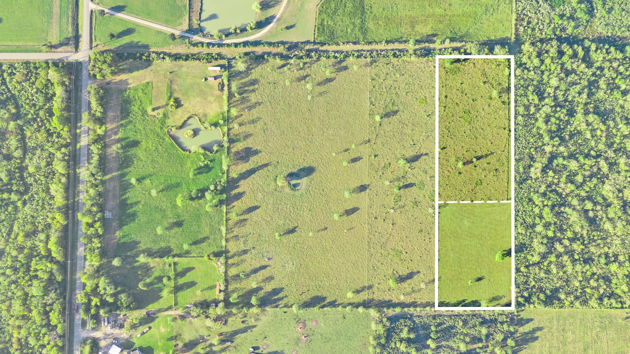 11703 County Road 48 Rosharon, TX 77583 - Photo 6 of 11 a bathroom with a shower