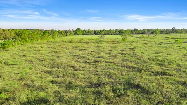 $420,000 | 11703 County Road 48, Rosharon, TX 77583
