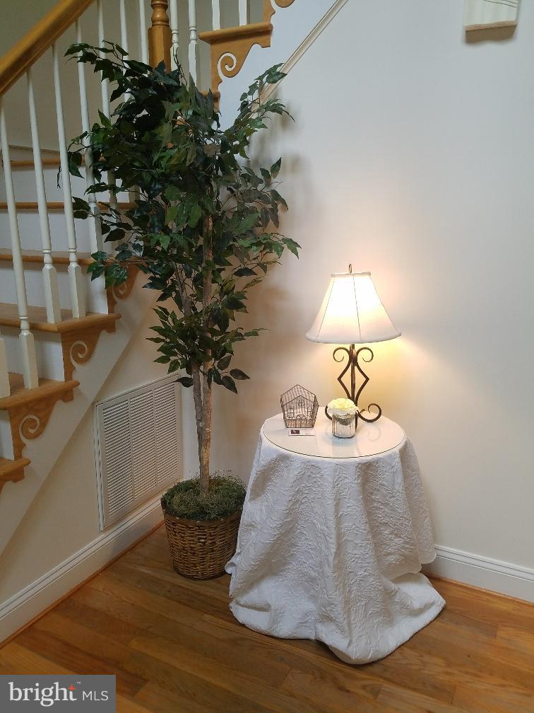 891 Mosby Springs Road Linden, VA 22642 - Photo 2 of 25 Interior (General)