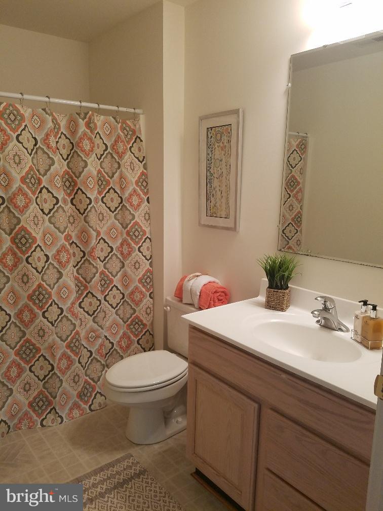 891 Mosby Springs Road Linden, VA 22642 - Photo 13 of 25 Upper Level Full Bath