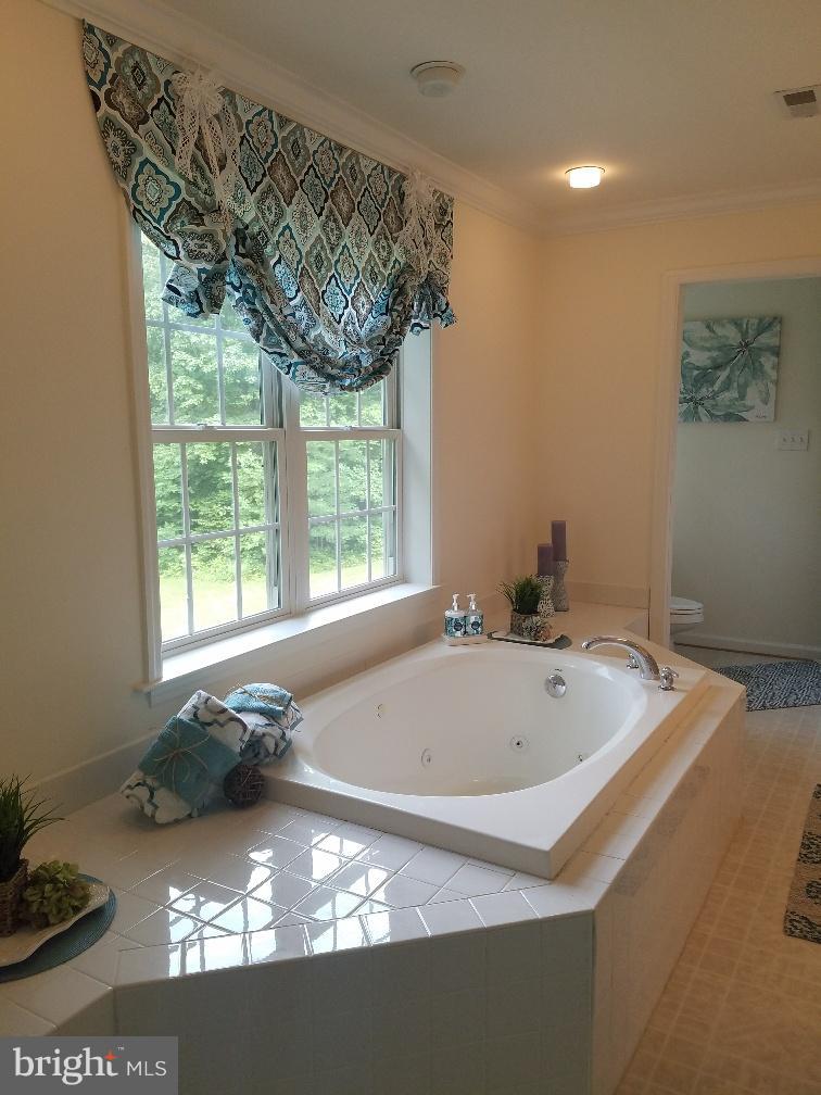 891 Mosby Springs Road Linden, VA 22642 - Photo 15 of 25 Relax in Jetted Tub overlooking Private Rear Yard