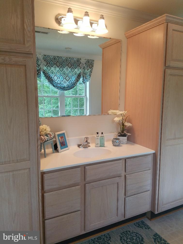 891 Mosby Springs Road Linden, VA 22642 - Photo 16 of 25 Plentiful Cabinetry in Owner's Suite Lux Bath