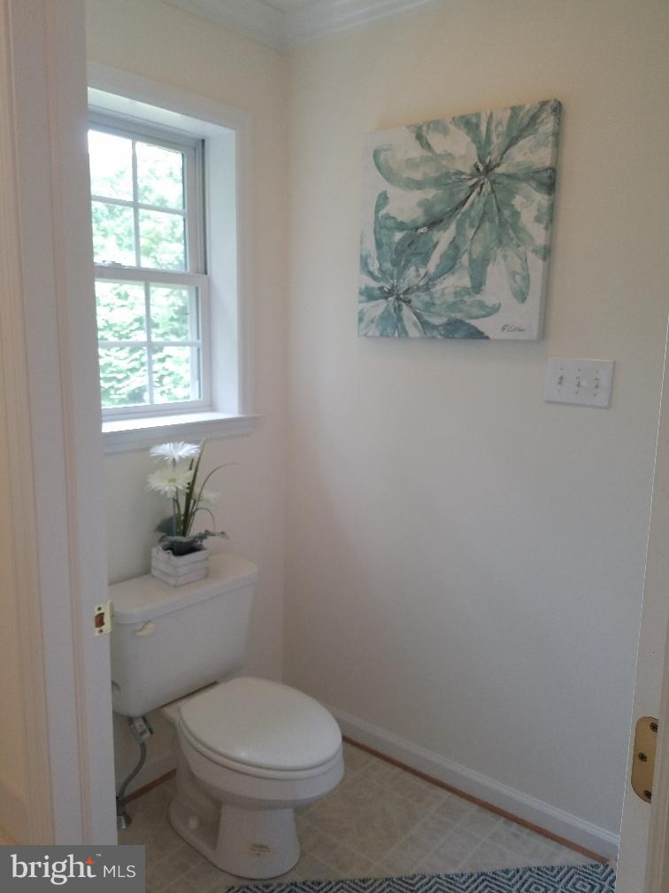 891 Mosby Springs Road Linden, VA 22642 - Photo 17 of 25 Owner's Bath~Separate Shower and Water Closet
