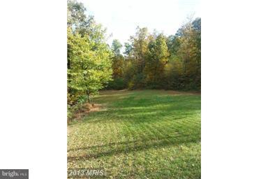 891 Mosby Springs Road Linden, VA 22642 - Photo 20 of 25 Peace and Privacy on your 10 Acre Lot