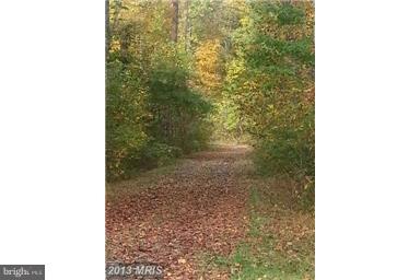 891 Mosby Springs Road Linden, VA 22642 - Photo 24 of 25 Enjoy the Seasons at your NEW HOME!