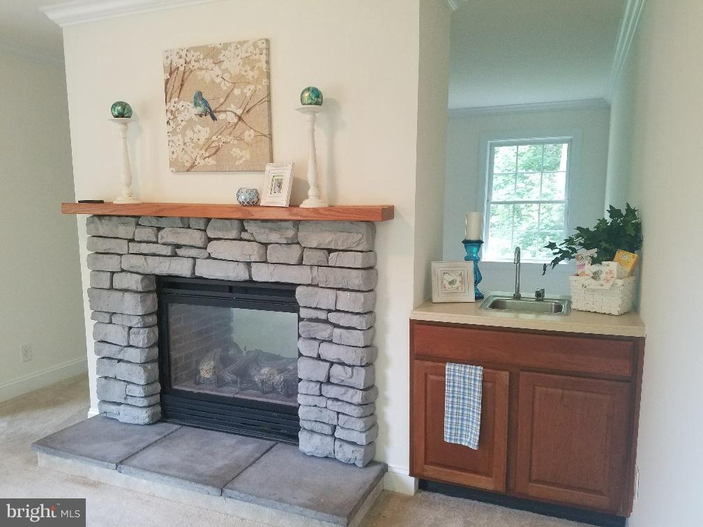 891 Mosby Springs Road Linden, VA 22642 - Photo 7 of 25 Family Rm~Double Sided Gas FP~Stone Hearth~Wet Bar