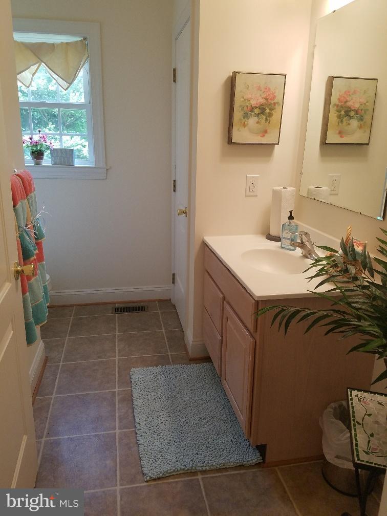 891 Mosby Springs Road Linden, VA 22642 - Photo 9 of 25 Main Level Half Bath