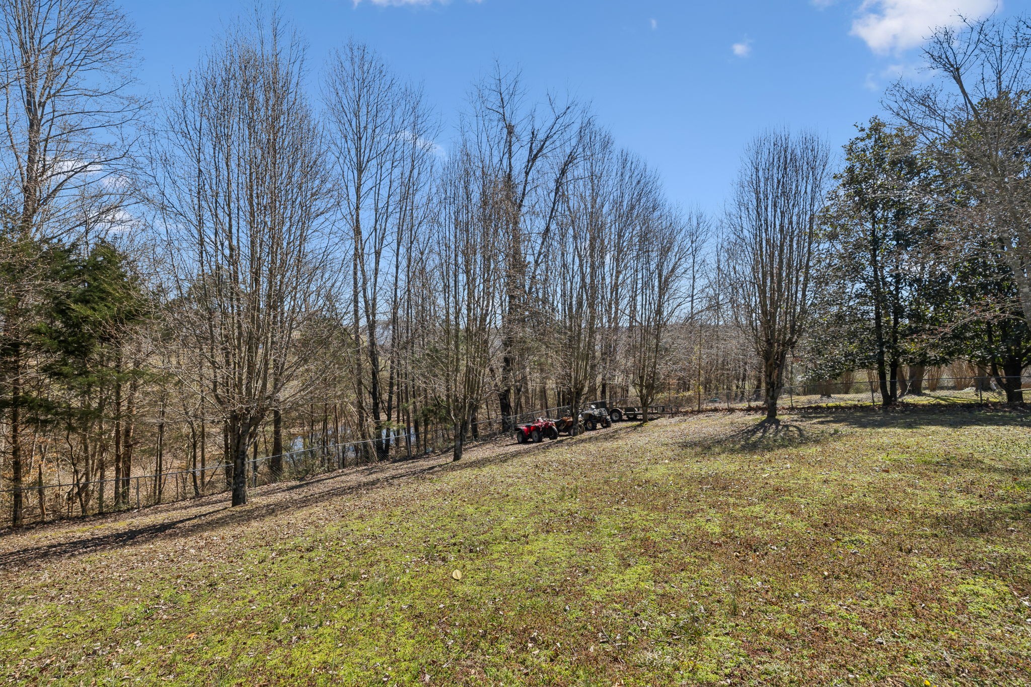 819 Blakemore Road Dickson, TN 37055 - Photo 42 of 54 a backyard of a house with trees