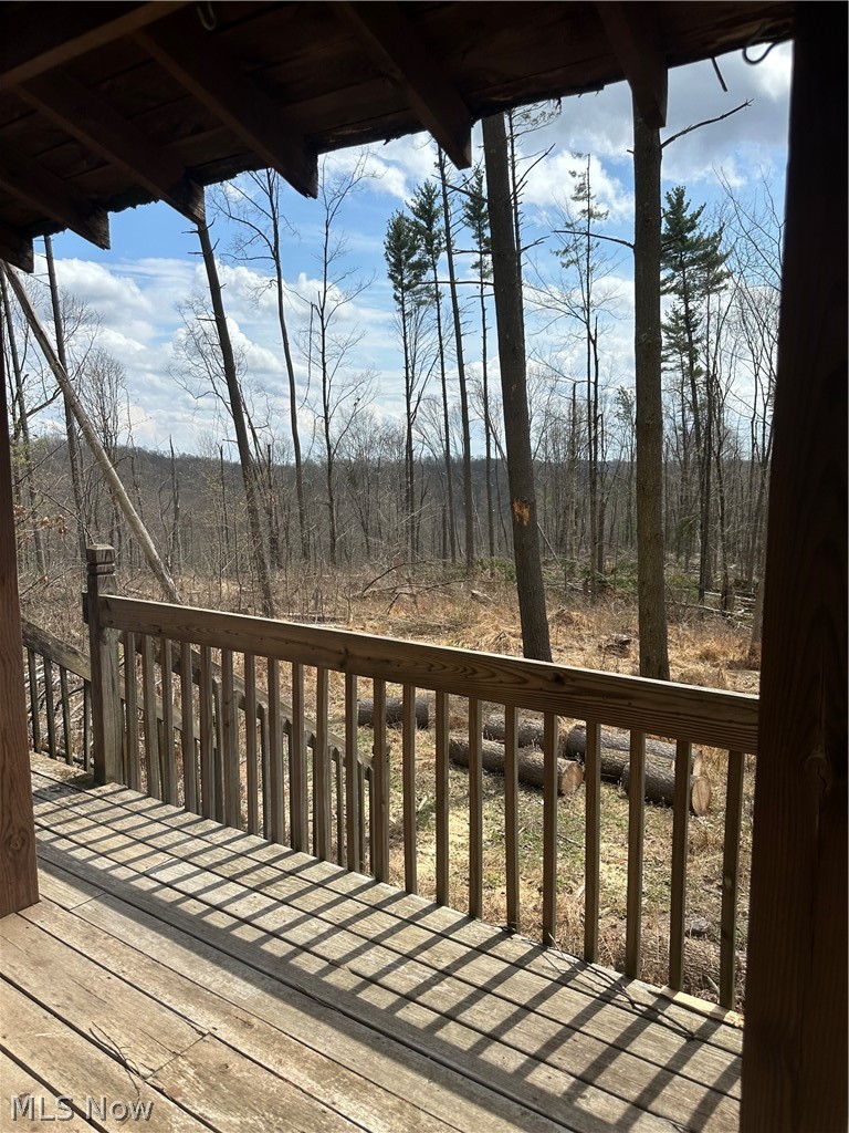 44800 Jim Stimpert Road Lewisville, OH 43754 - Photo 19 of 49 View from the porch of the cabin