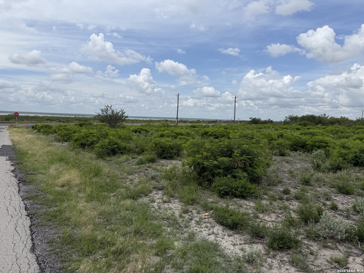 120 Quail Ridge Run Three Rivers, TX 78071 - Photo 2 of 5